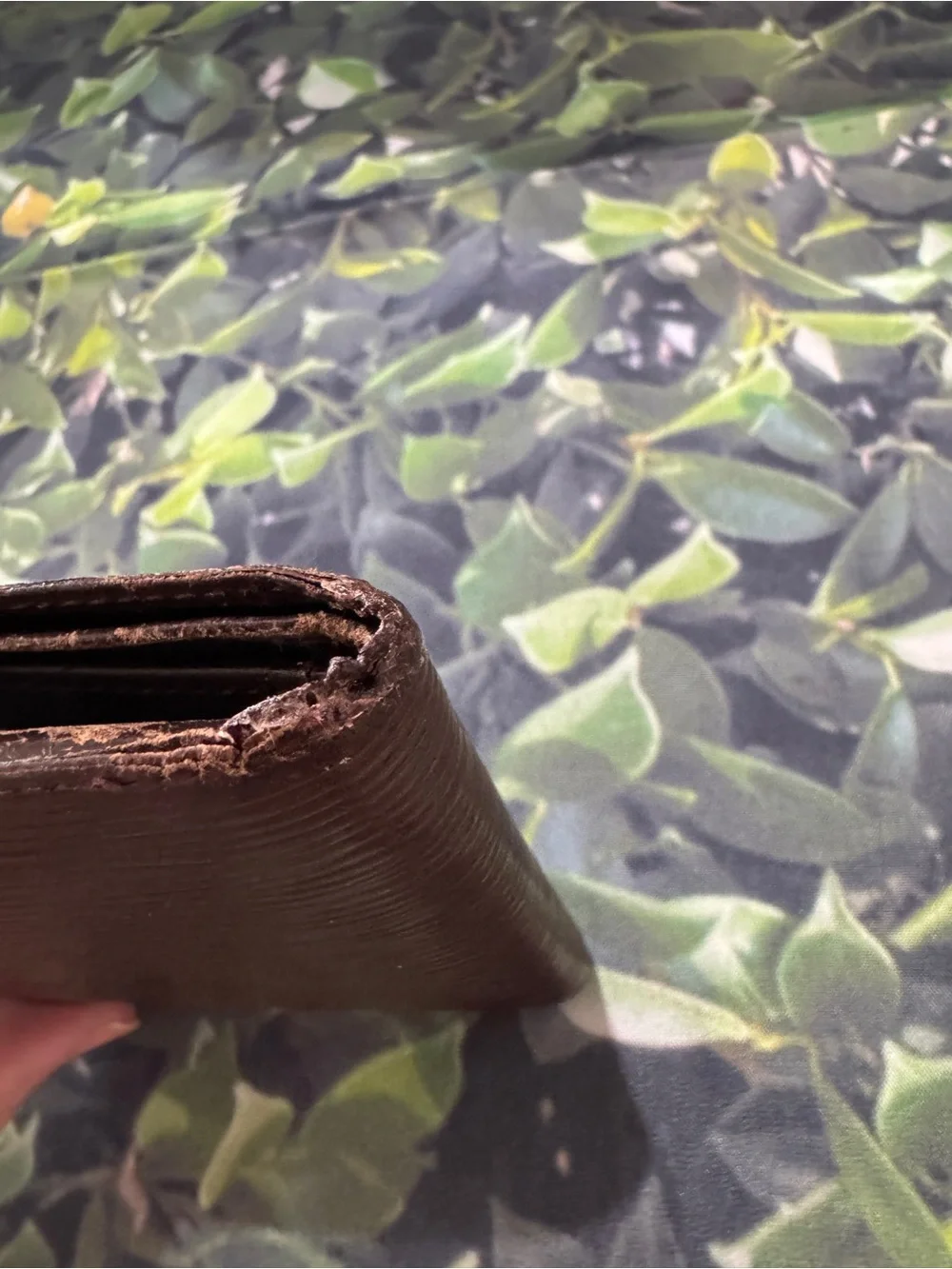 Louis Vuitton Epic brown bi fold wallet